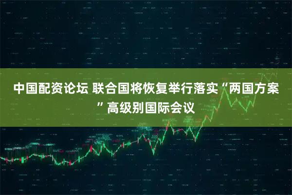 中国配资论坛 联合国将恢复举行落实“两国方案”高级别国际会议